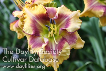 Daylily Sculpting Sculptures